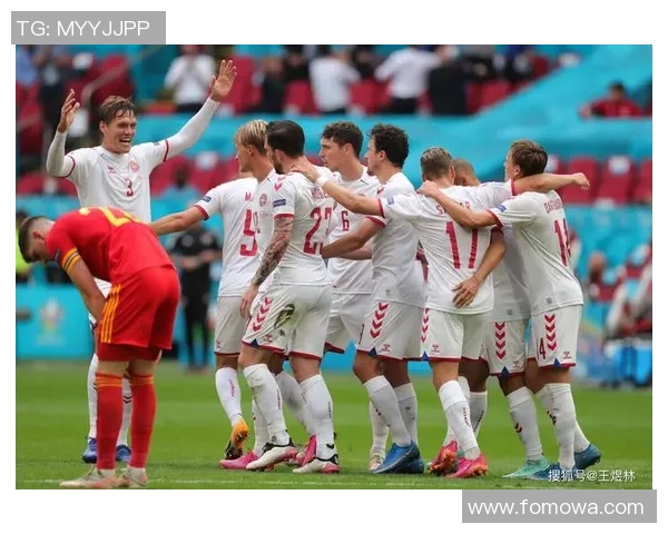 爱尔兰国家足球队现役明星球员完整名单及其精彩表现分析